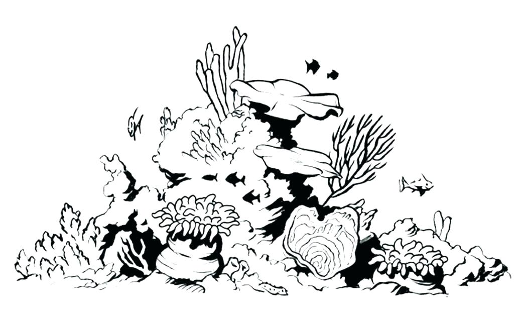 Coral Reef Coloring Page Icontent 1048x641 Coral Reef Coloring Page Icontent