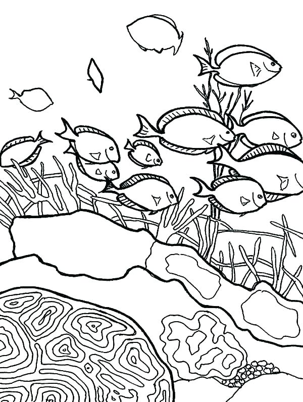 Coral Reef Printables 600x796 Coral Reef Printables