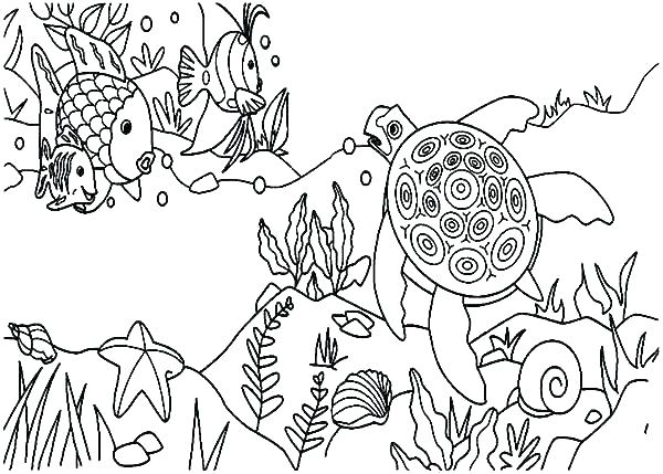 600x429 Coral Reef Coloring Page Coral Reef Coloring Page Coral Reef Fish