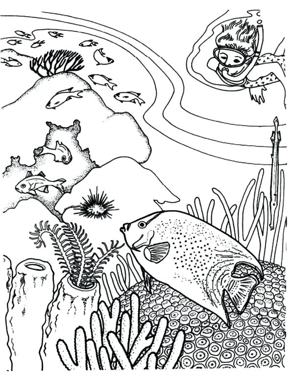 600x769 Coral Reef Coloring Pages Adult Coloring Book Coloring Page