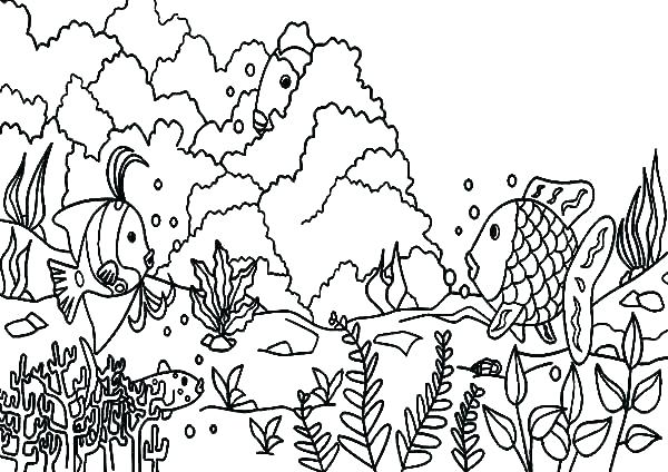 600x424 Coral Reef Coloring Pages Coral Reef Fish Coloring Pages Lawman.site