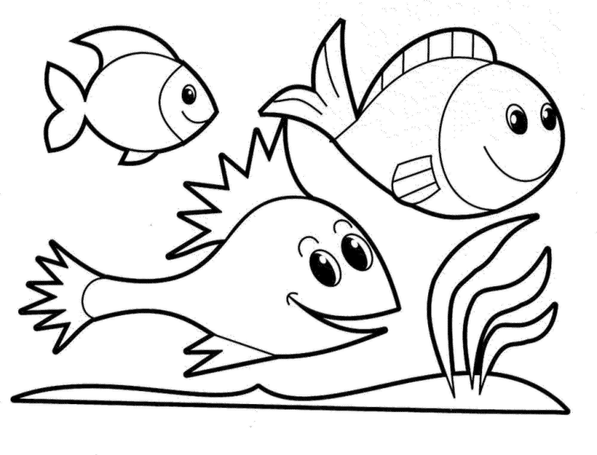 2000x1524 Coral Reef Fish Coloring Page Free Printable Pages Best