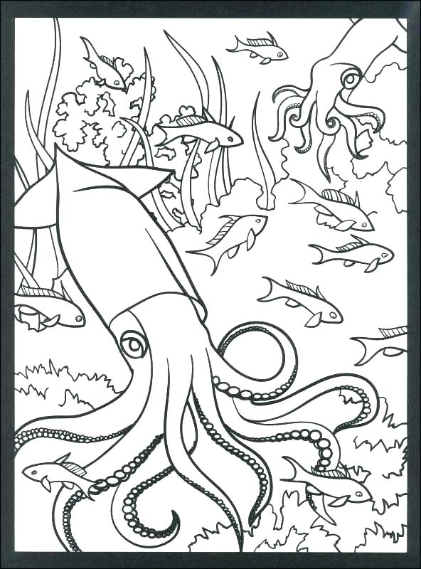592x800 Coral Reef Coloring Page Coral Reef Coloring Page Coral Reef