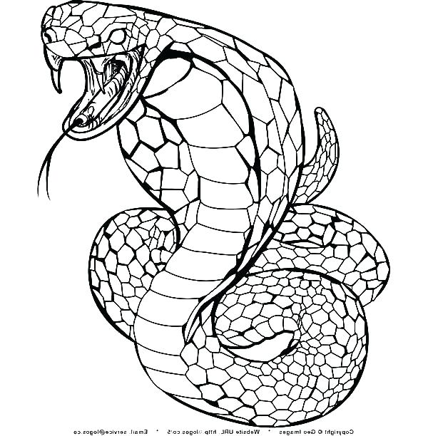 Coral Snake Coloring Sheet Printable Coloring Cobra Coloring Page 600x612 Coral Snake Coloring Sheet Printable Coloring Cobra Coloring Page