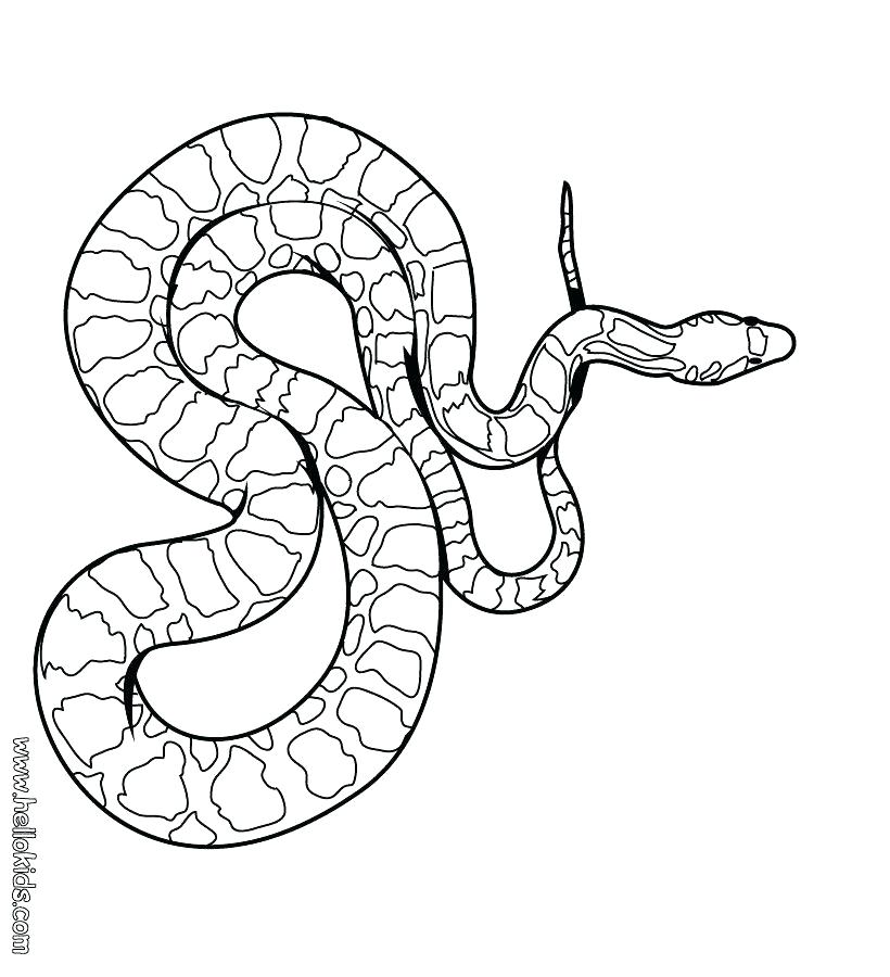 Snake Coloring Page New Year Snake Coloring Pages Snake Coloring 820x900 Snake Coloring Page New Year Snake Coloring Pages Snake Coloring