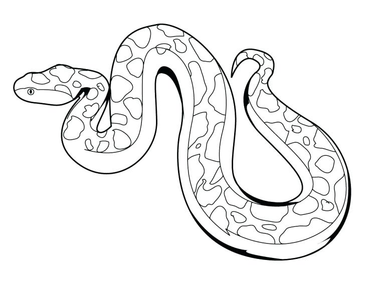 Snake Coloring Page Snake Coloring Pages Snake Colouring Pages 728x563 Snake Coloring Page Snake Coloring Pages Snake Colouring Pages