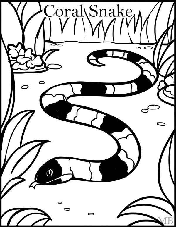 Coral Snake Coloring Page 600x776 Coral Snake Coloring Page