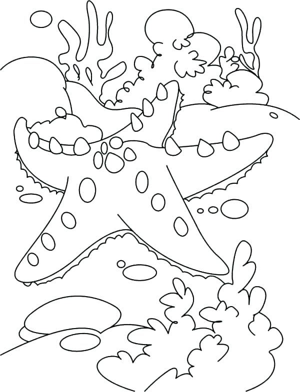Coral Coloring Pages Coloring Page Coral Nature Printable Coloring 600x785 Coral Coloring Pages Coloring Page Coral Nature Printable Coloring