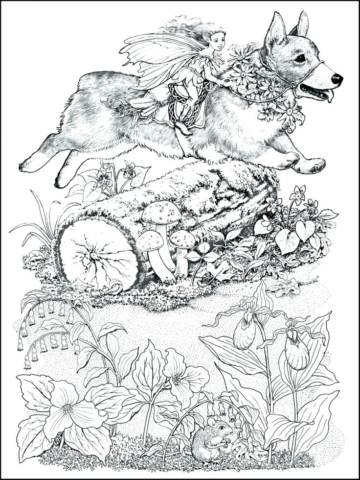 736x980 Corgi Coloring Pages Corgi Coloring Pages Full Size Of Coloring