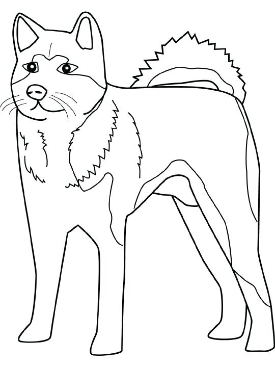 540x720 Corgi Coloring Pages Corgi Dog Coloring Page Free Printable