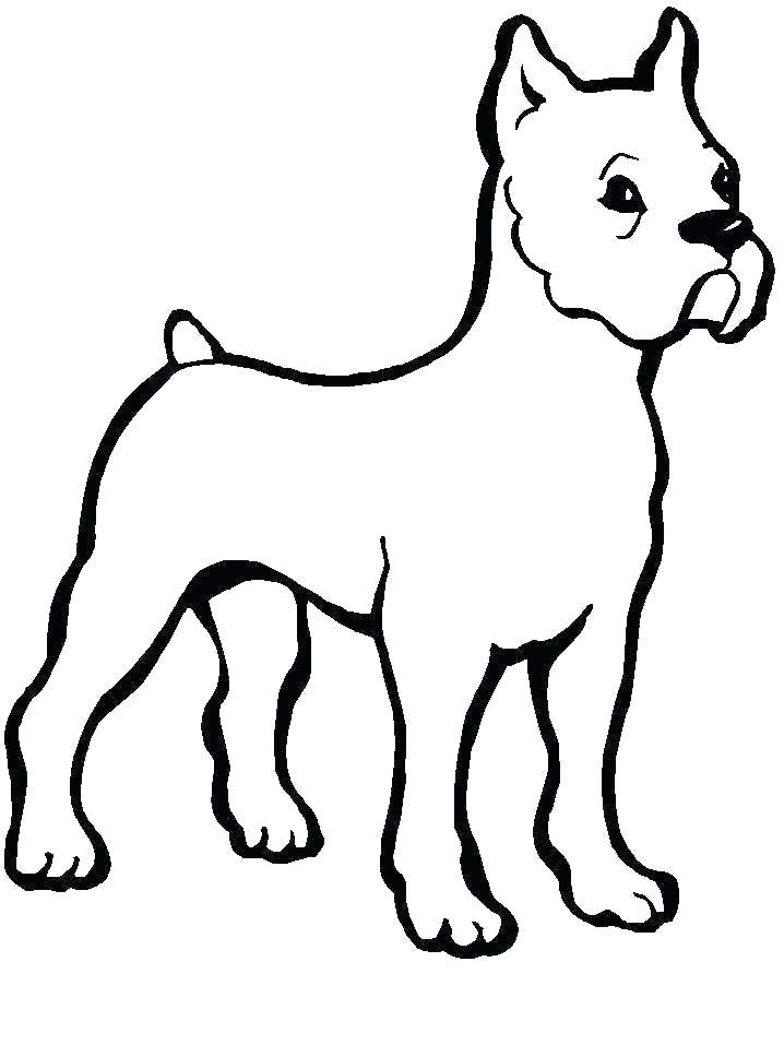 718x957 Colouring Pages Of Dogs And Cats Corgi Coloring Dog Radiorebelde