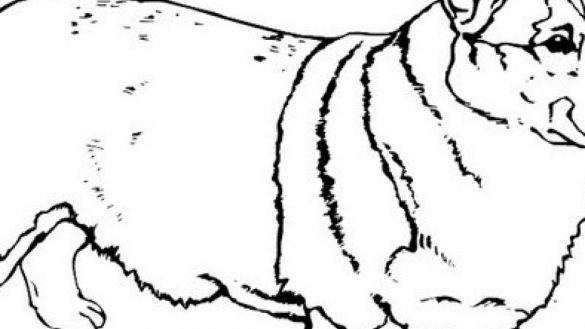 585x329 Corgi Coloring Pages Coloring Book Corgi