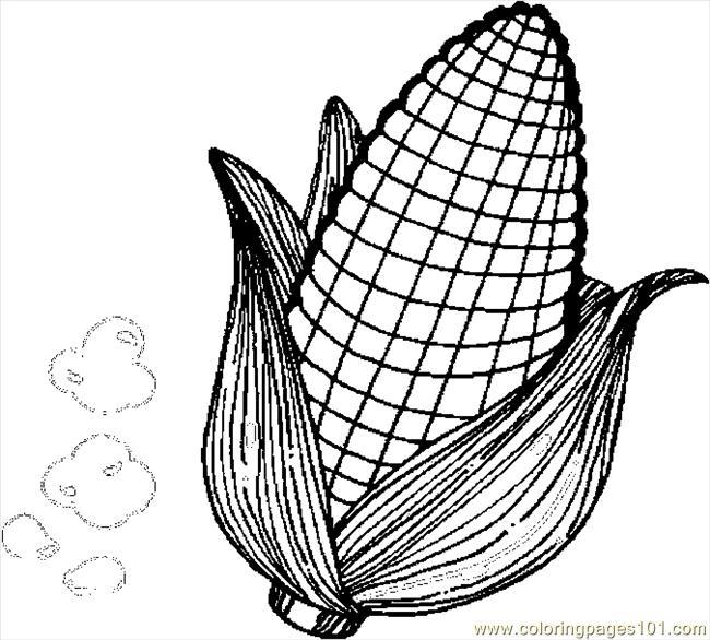 Corn 3 Coloring Page 650x586 Corn 3 Coloring Page
