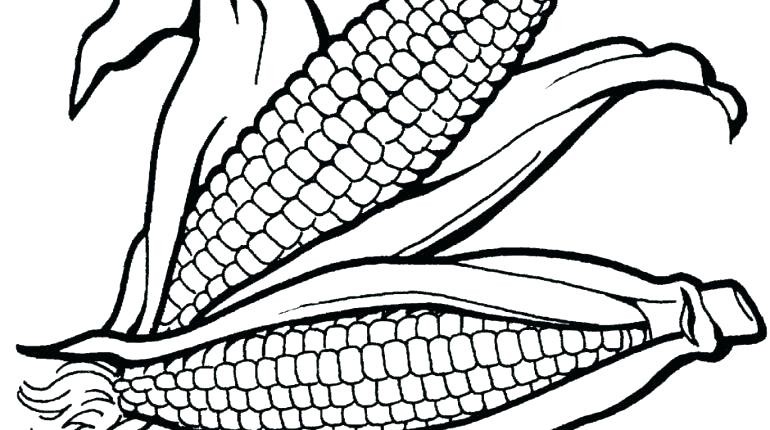 Corn Coloring Page 770x430 Corn Coloring Page