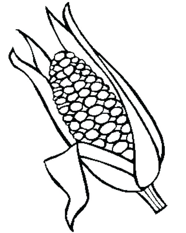 Corn Coloring Pages Corn Coloring Sheets Page Of Pages Corn 600x752 Corn Coloring Pages Corn Coloring Sheets Page Of Pages Corn