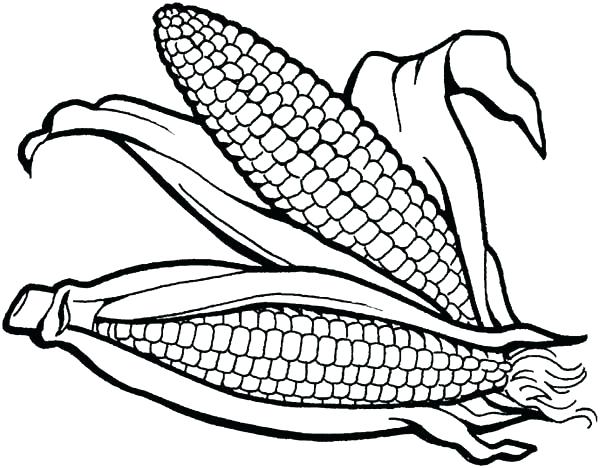 Corn Coloring Pages Delicious Corn Coloring Page Sun Popcorn 600x468 Corn Coloring Pages Delicious Corn Coloring Page Sun Popcorn