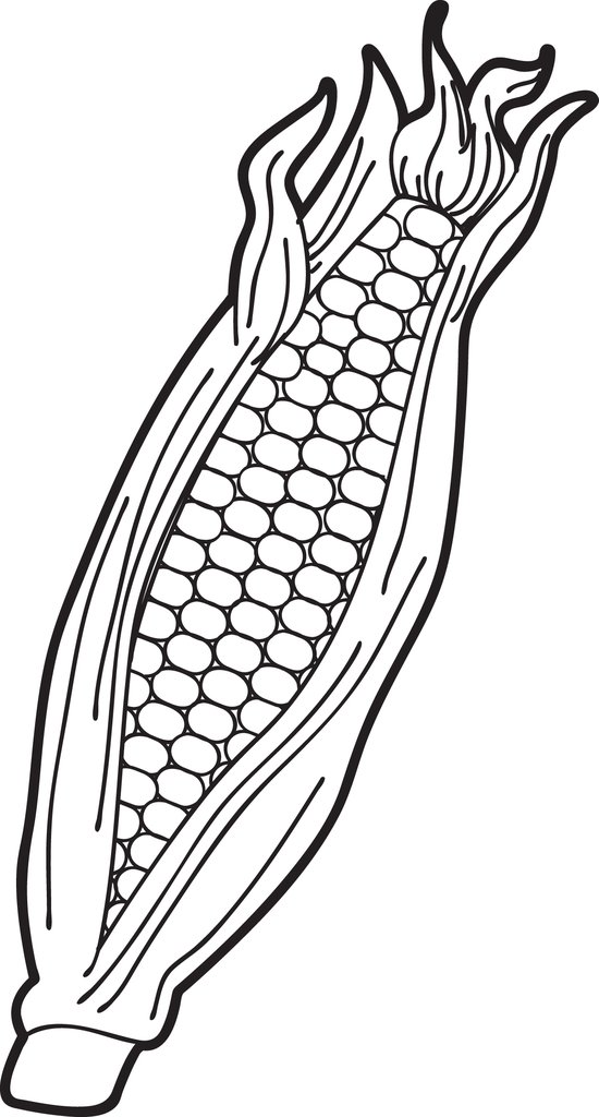 Free Printable Ear Of Corn Coloring Page For Kids Supplyme 550x1024 Free Printable Ear Of Corn Coloring Page For Kids Supplyme