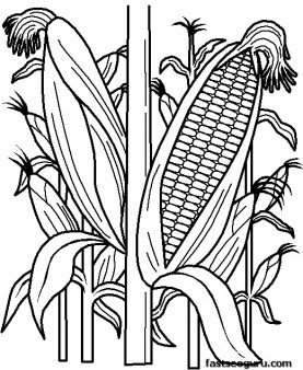 Printable Vegetables Corn Coloring Page 277x338 Printable Vegetables Corn Coloring Page