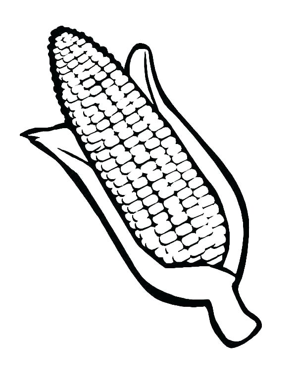Corn Stalk Coloring Page 600x776 Corn Stalk Coloring Page