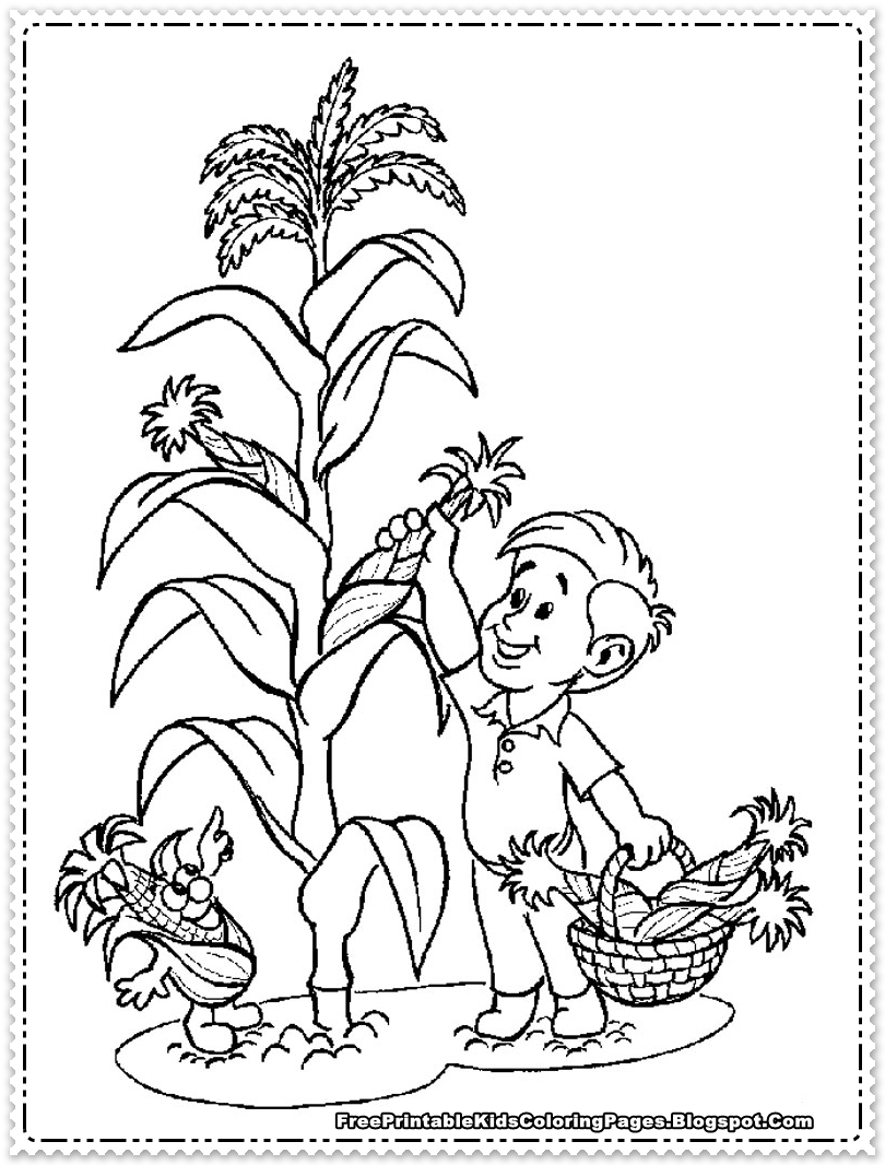 Corn Coloring Pages Printable 810x1066 Corn Coloring Pages Printable