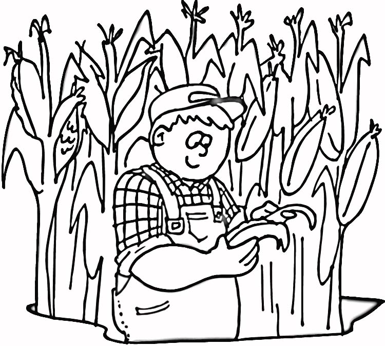 Corn Field Coloring Page Corn Stalks Coloring Pages Field Grig3 750x673 Corn Field Coloring Page Corn Stalks Coloring Pages Field Grig3