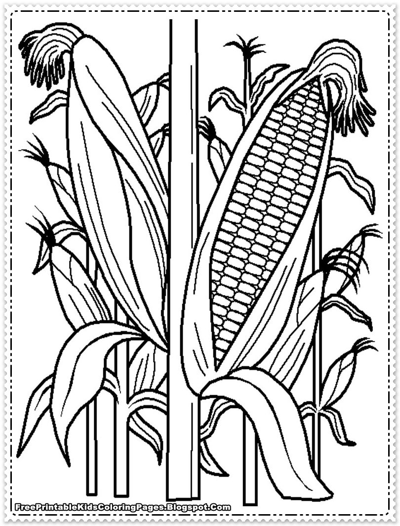Corn Coloring Pages Cornfield Printable Kids Coloring Pages 810x1066 Corn Coloring Pages Cornfield Printable Kids Coloring Pages