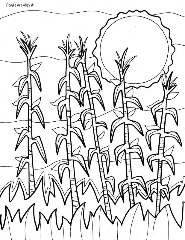 Corn Field Coloring Page 30 Best Adult Coloring Pages Images 618x799 Corn Field Coloring Page 30 Best Adult Coloring Pages Images