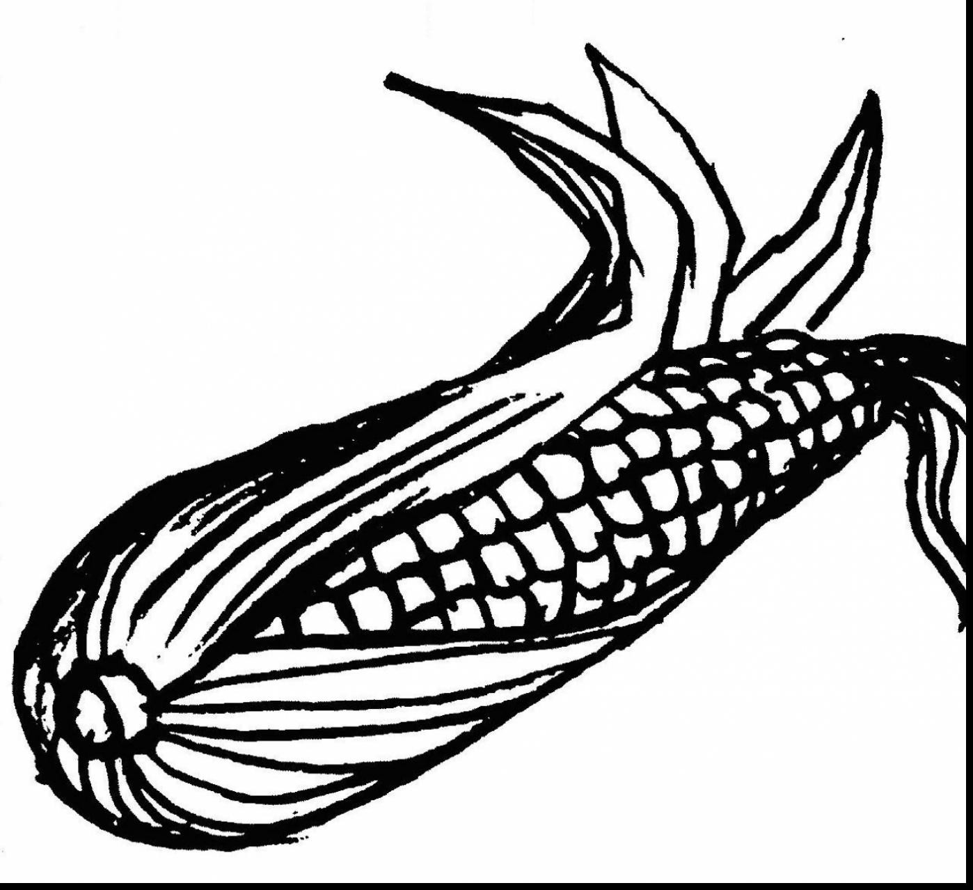 1398x1278 Corn On The Cob Coloring Page Acpra