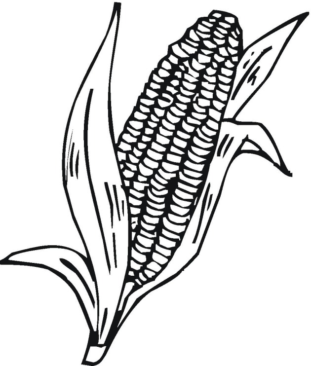 630x742 Free Vegetables Coloring Pages Preschool Free