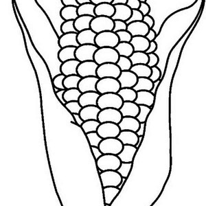 300x300 Online Free Coloring Pages For Kids