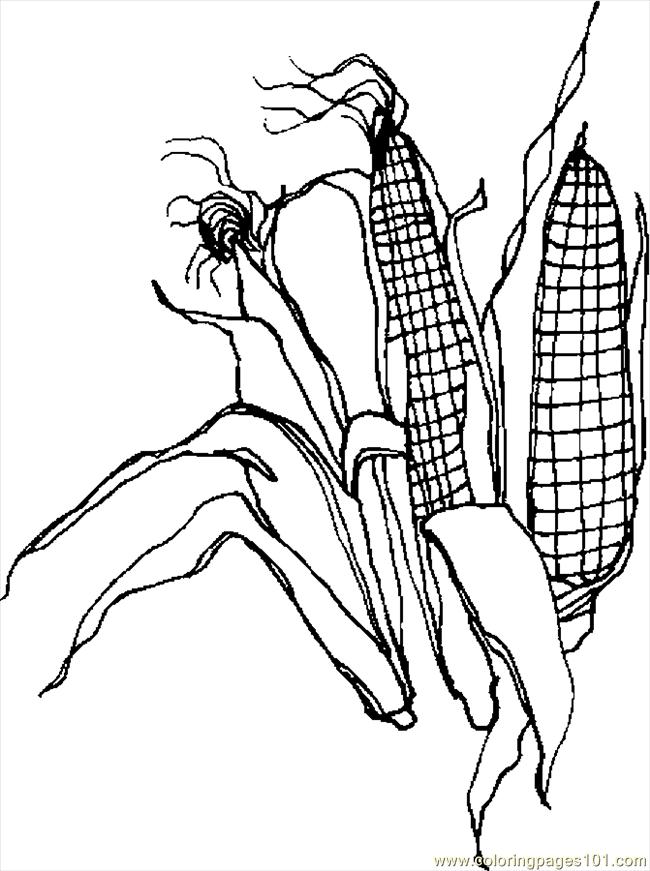 Corn Stalk Coloring Pages Many Interesting Cliparts 650x871 Corn Stalk Coloring Pages Many Interesting Cliparts