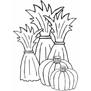 Cornstalks And Pumpkins Coloring Page 300x300 Cornstalks And Pumpkins Coloring Page