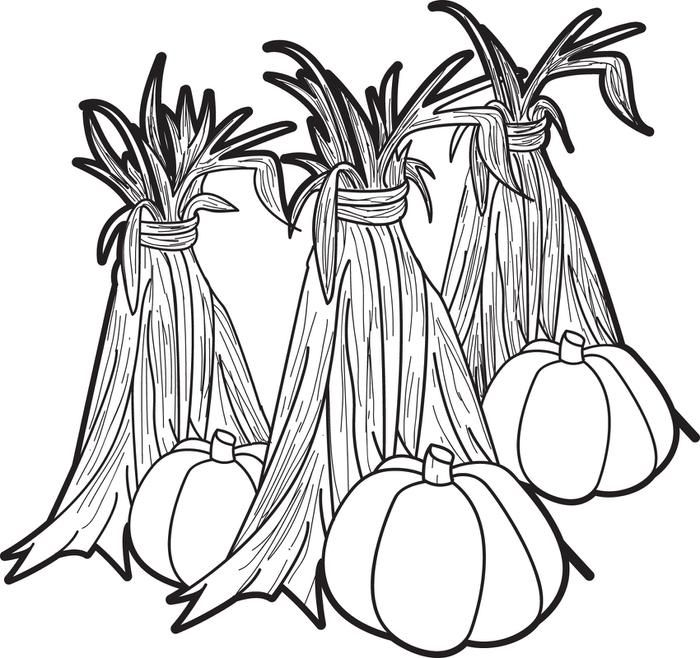 Pumpkins Corn Stalks Coloring Page Corn Stalks, Gourds 700x658 Pumpkins Corn Stalks Coloring Page Corn Stalks, Gourds