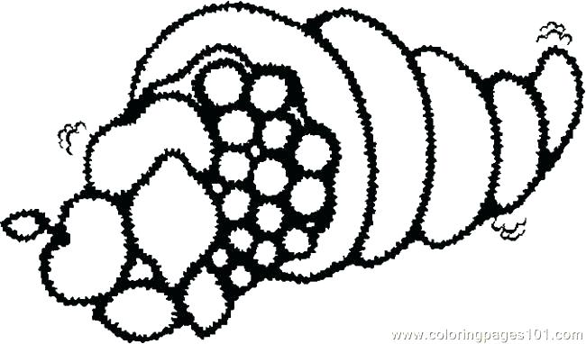 Cornucopia Para Colorear Para Actividas Con Y Para For Cornucopia 650x382 Cornucopia Para Colorear Para Actividas Con Y Para For Cornucopia