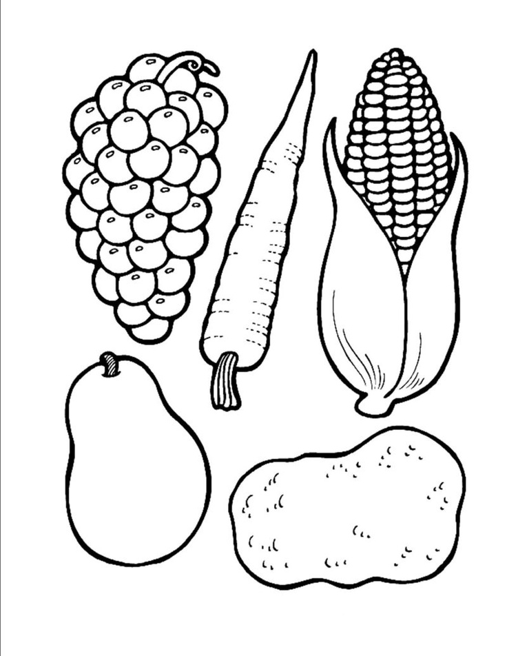 736x952 Coloring Page Of A Cornucopia With The Fruit