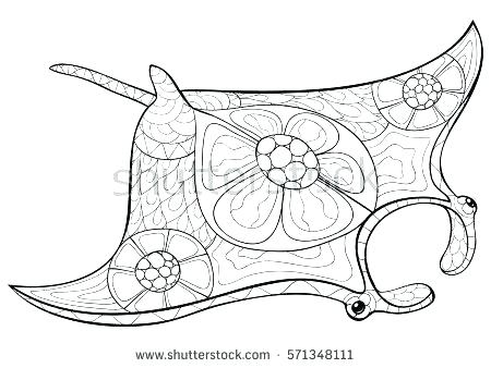 Corvette Coloring Pages Stingray Coloring Page Stingray Animal 450x338 Corvette Coloring Pages Stingray Coloring Page Stingray Animal