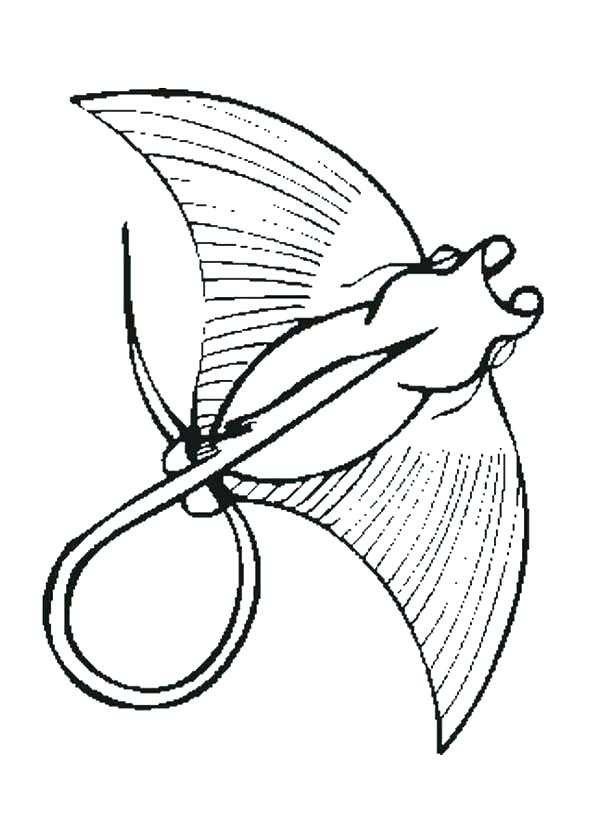 Cute Stingray Coloring Pages Printable Coloring Ray Coloring Pages 600x831 Cute Stingray Coloring Pages Printable Coloring Ray Coloring Pages
