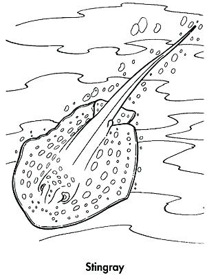 Stingray Coloring Page Stingray Coloring Page Stingray Coloring 301x400 Stingray Coloring Page Stingray Coloring Page Stingray Coloring
