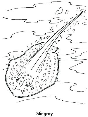 Corvette Coloring Page Pages Print Stingray 301x400 Corvette Coloring Page Pages Print Stingray