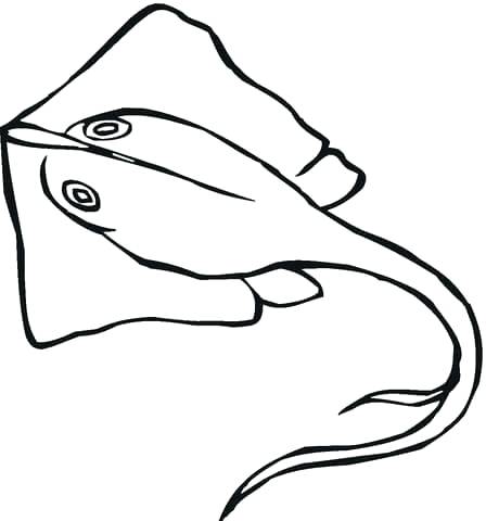 Stingray Coloring Page Epic Corvette Coloring Pages In Coloring 448x480 Stingray Coloring Page Epic Corvette Coloring Pages In Coloring