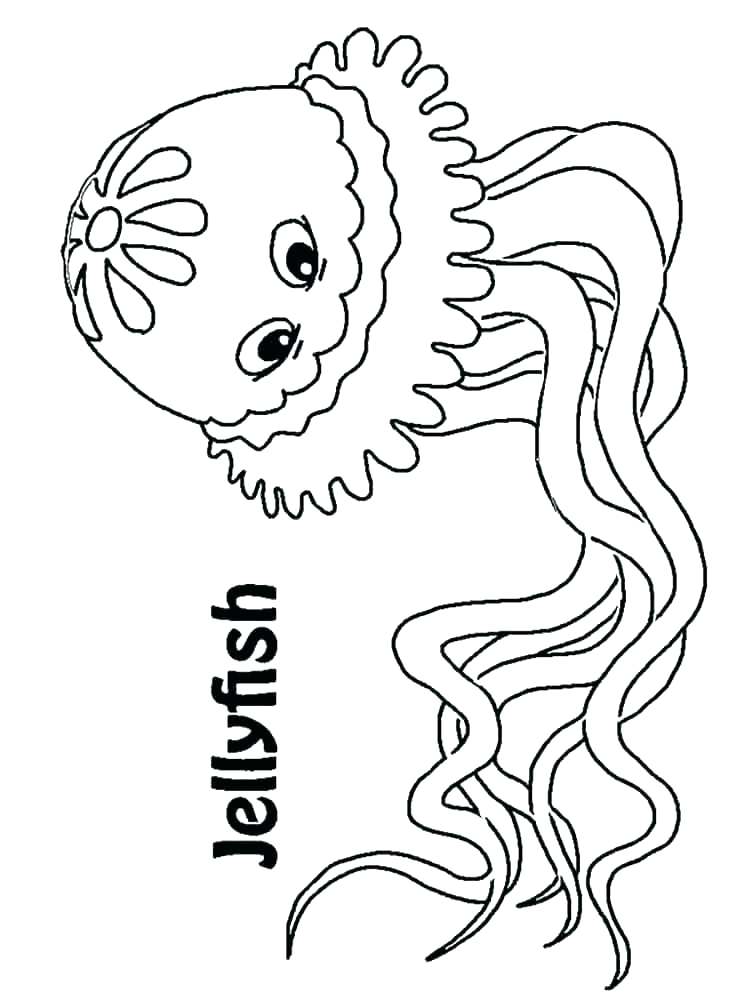 Stingray Coloring Page Nativity Coloring Page Cute Stingray 750x1000 Stingray Coloring Page Nativity Coloring Page Cute Stingray