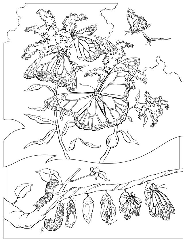 Costa Rica Coloring Pages