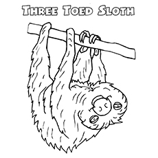 230x230 Top 10 Sloth Coloring Pages For Your Toddler