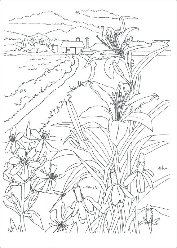 571x800 Country Coloring Pages Country Coloring Pages Country Scenes