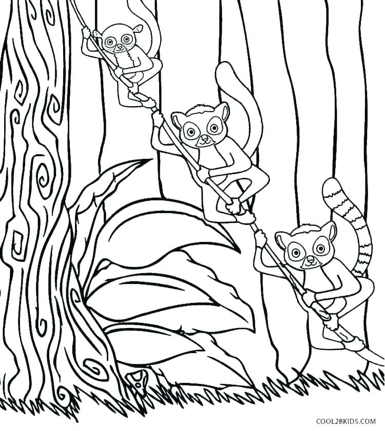 750x841 Lemur Coloring Page Free Music Coloring Pages Music Color Sheets