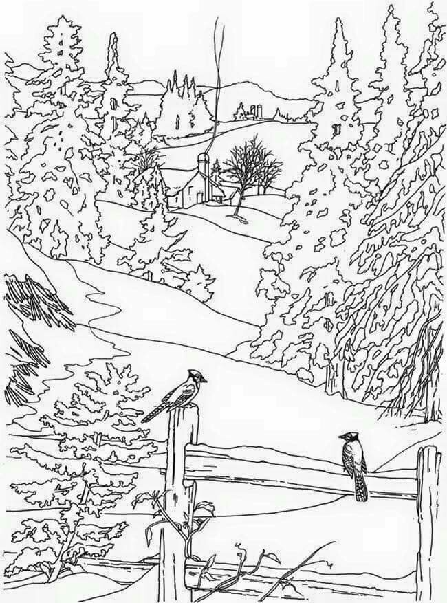 650x877 Pin By Donna Laplante On Adult Coloring Pages Adult