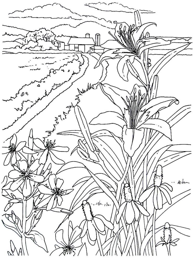736x985 38 Best Living In The Country Coloring Book Pages Images