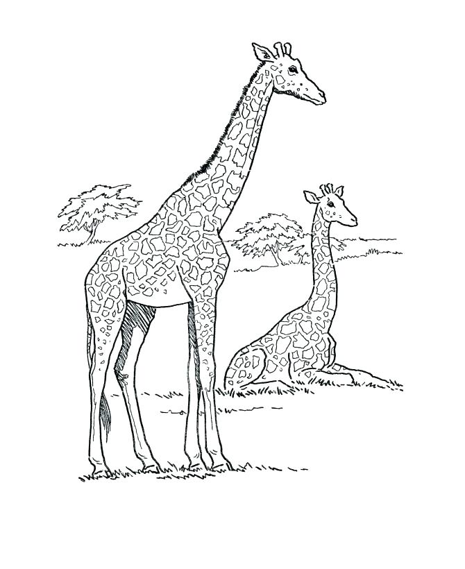 Countries Coloring Pages Coloring Page Pin Coloring Page N 670x820 Countries Coloring Pages Coloring Page Pin Coloring Page N