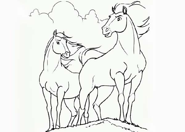 600x429 Perfect Horses Couple Coloring Page
