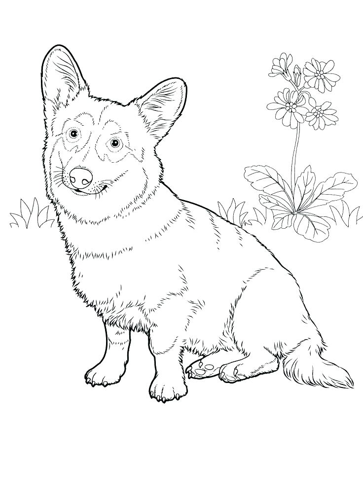 736x990 Coloring Dog Cartoon Dog Coloring Pages Free Printable Coloring